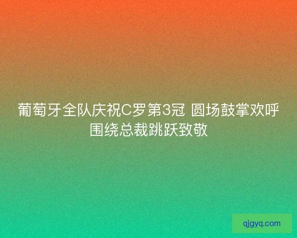 葡萄牙全队庆祝C罗第3冠 圆场鼓掌欢呼围绕总裁跳跃致敬 葡萄牙全队庆祝C罗第3冠 圆场鼓掌欢呼围绕总裁跳跃致敬
